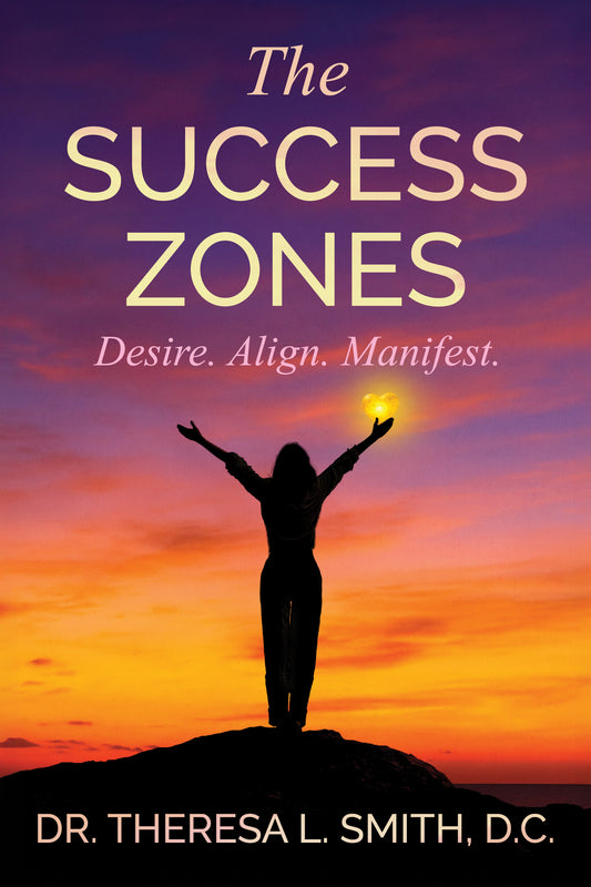 The Success Zones Paperback
